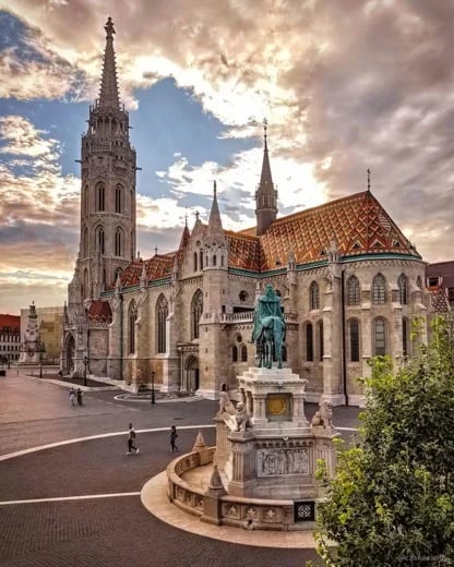 Cover media image