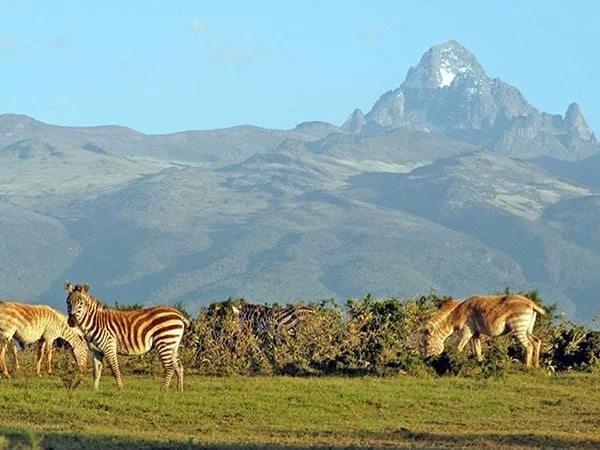 Two Days safari in Nanyuki with a private Guide