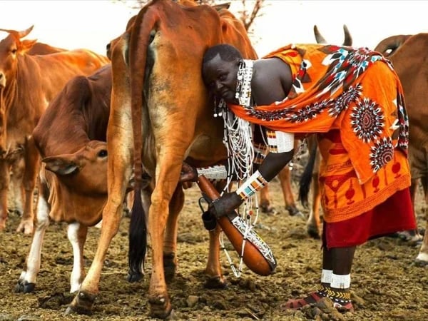 Maasai Cultural Experience private Safari