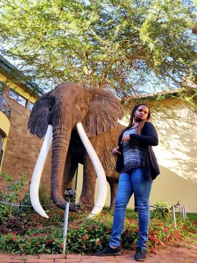 Honoring Ahmed's monument. Perhaps the most famous elephant in the world, Ahmed was known for his large tusks and put under 24 