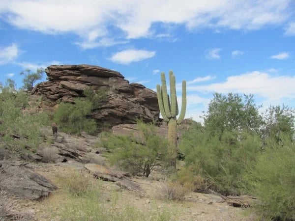 Phoenix City Driving and Hiking Combo Tour