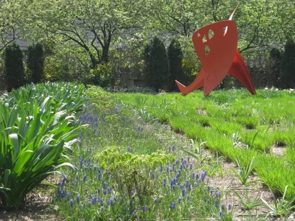 Chicago Walking Tour: Northside Neighborhood