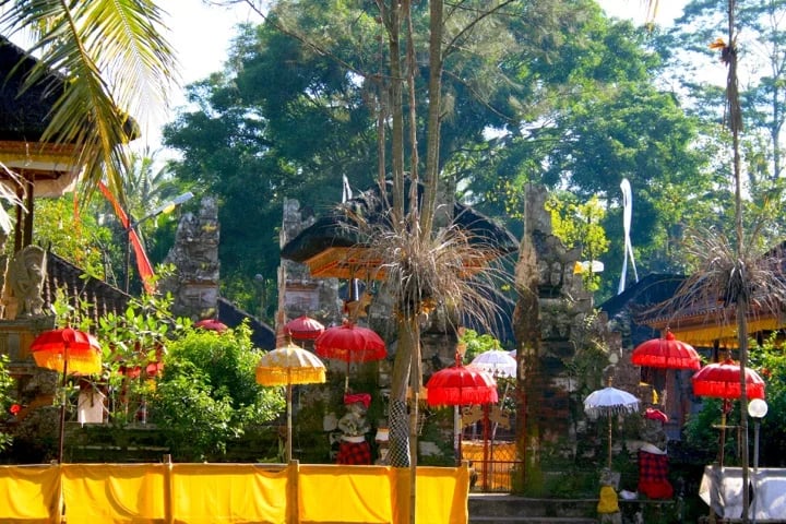 I Wayan S.'s gallery