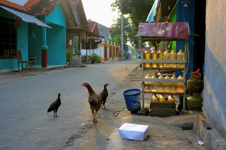 I Wayan S.'s gallery