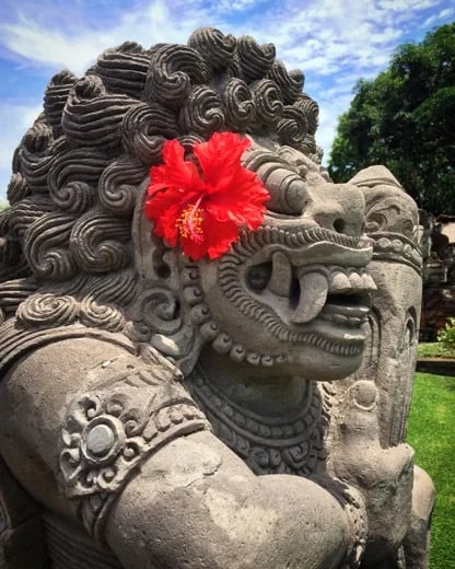 I Wayan S.'s gallery
