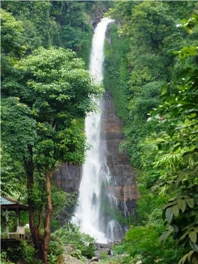 I Wayan S.'s gallery