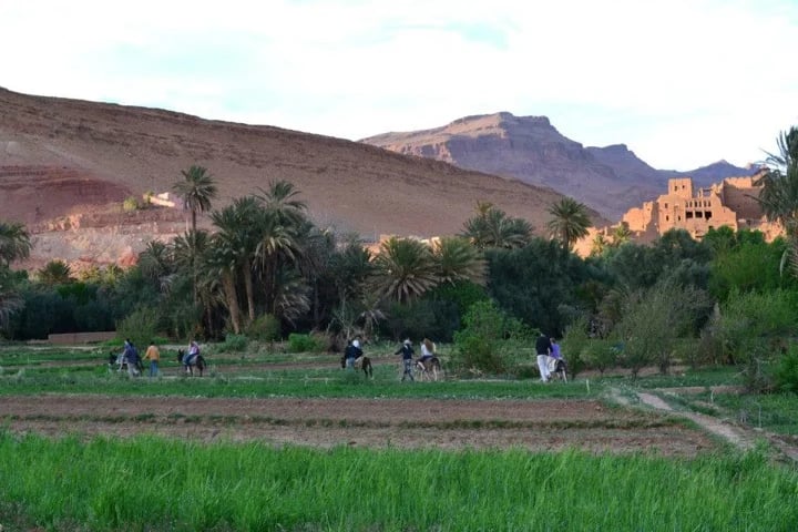 Ismail E.'s gallery