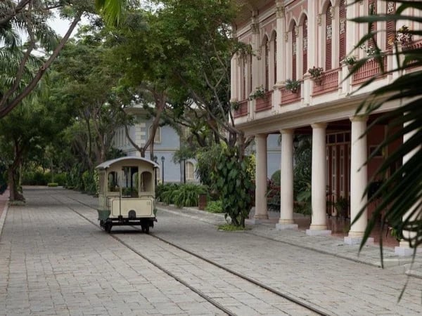 Guayaquil Historical Park Half Day Tour