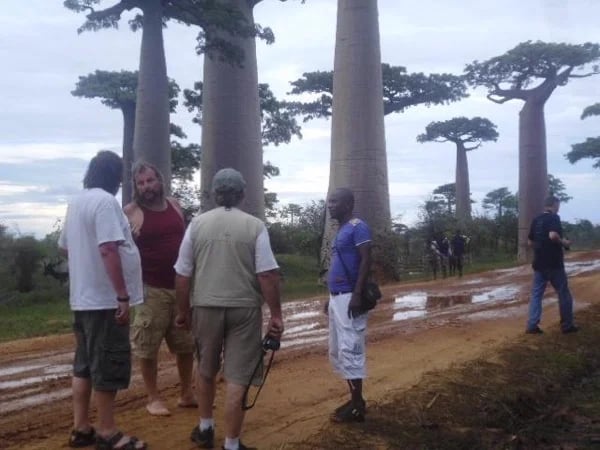 Baobab avenue in Morondava - Private tour