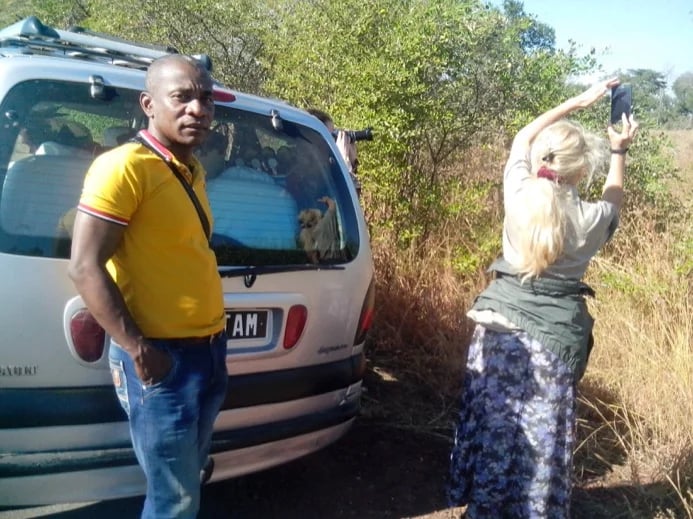 My guest is from USA. We saw swarm on our way back to Antsirabe from Morondava. Some pictures for souvenirs