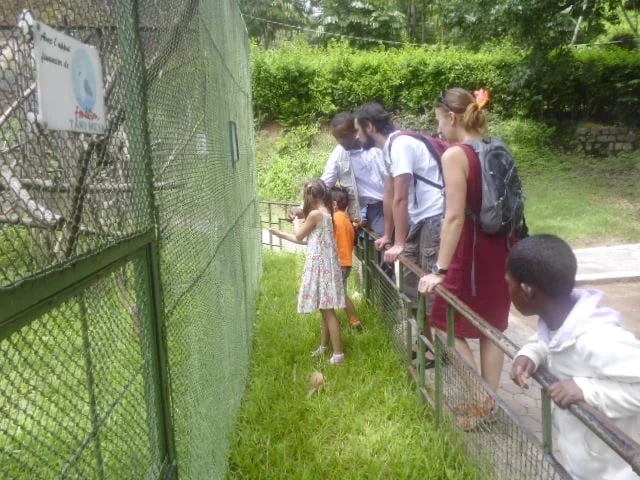 My guests are from Belarius. we are visiting the zoological and botanical garden National park of Tsimbazaza in Antananarivo