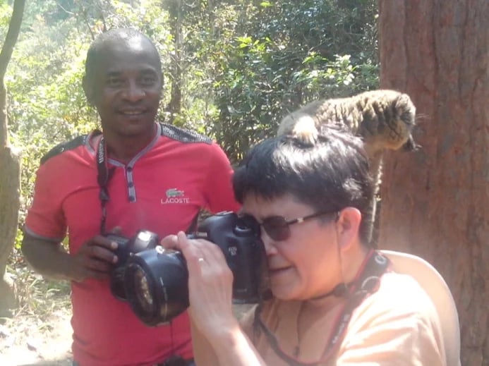 Friendly common brown lemur in lemur's island park