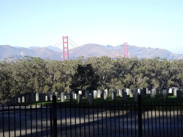 Cover media image