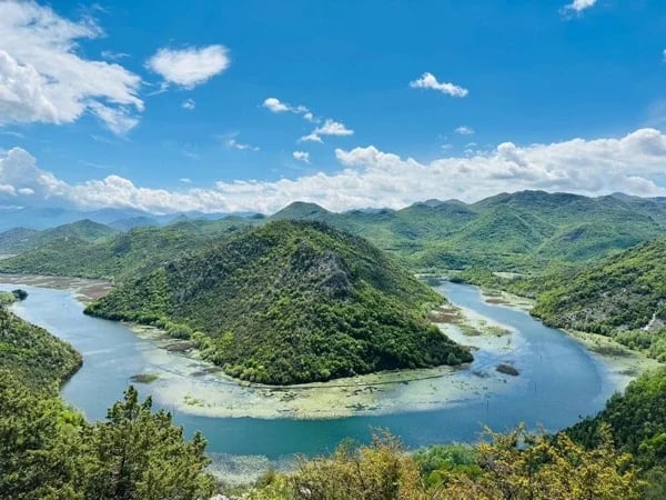 Cover media image
