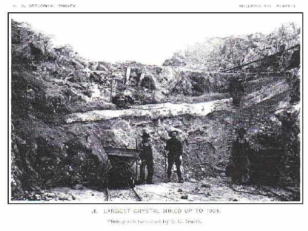 Cover media image