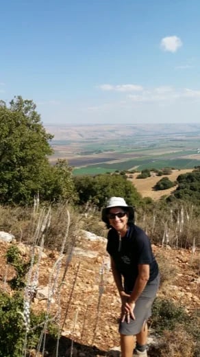 White Squill in bloom overlooking the Hula Valley in the Upper Galilee