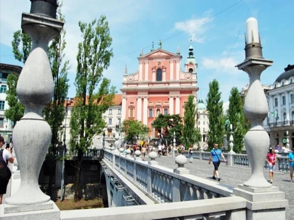 Cover media image