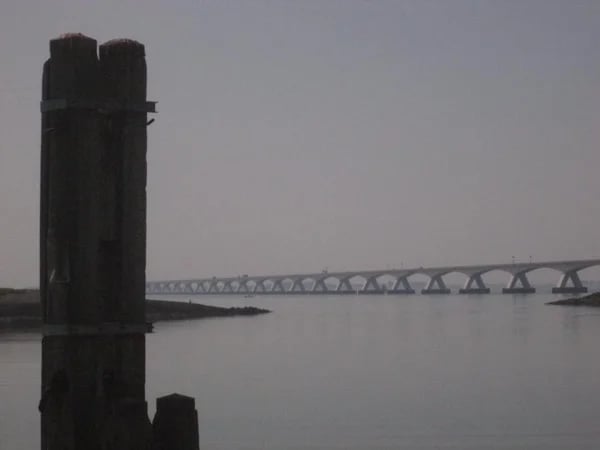 Cover media image