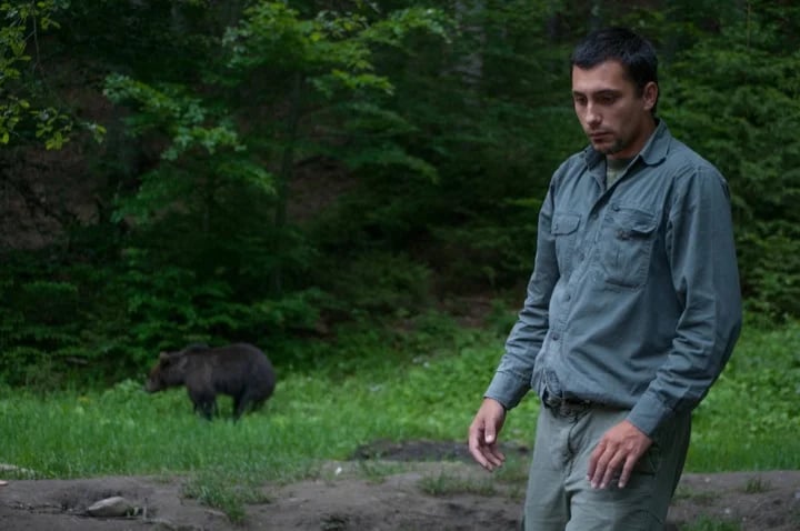 Me, after a displayed argument with a bear