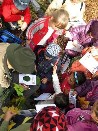 Teaching kids about trees