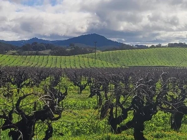 Sonoma & the Russian River Valley