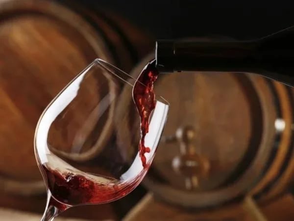 Private Wine Tasting with Sommelier