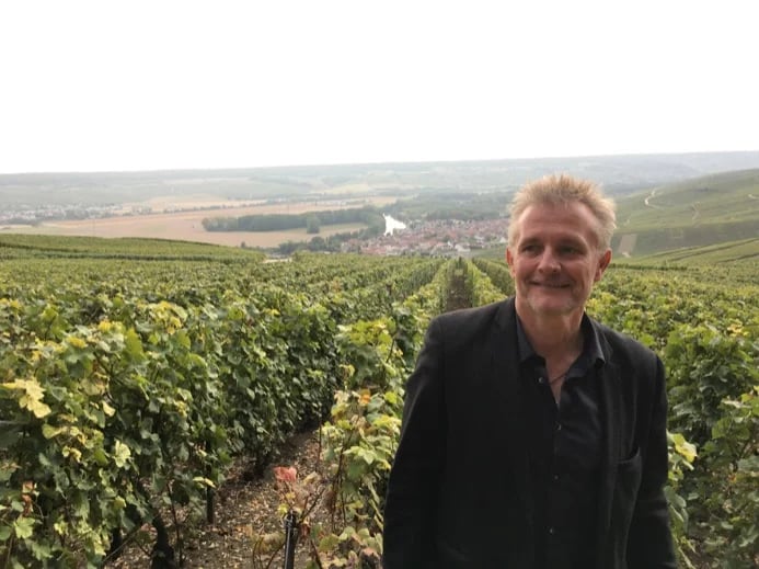 Champagne vineyards