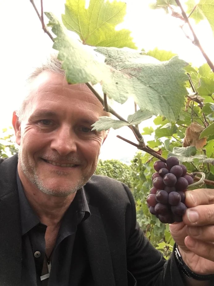 Champagne grape