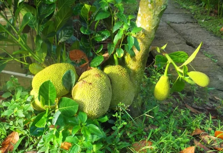 untitled 4