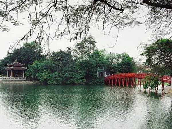 Cover media image