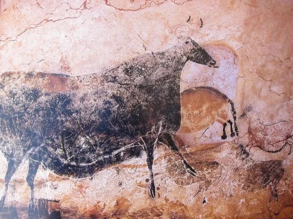 Cover media image