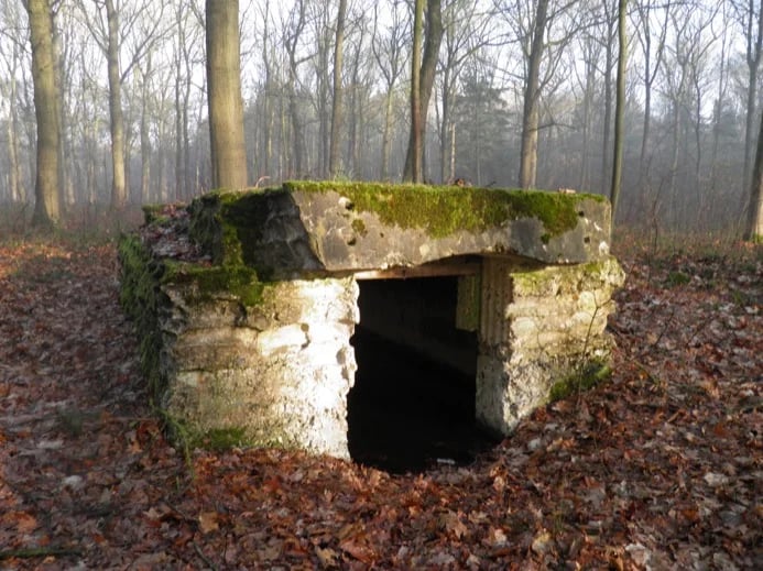 Blighty Hall in Ploegsteert Wood