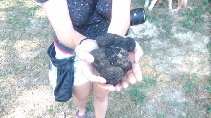 TruffleHunt