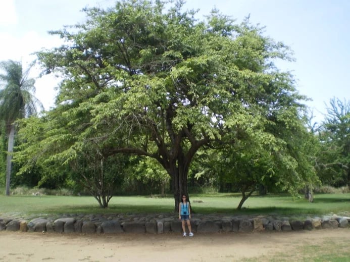 Tibes Ceremonial Park, Ponce, Puerto Rico