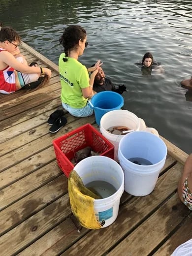 Learning about the wildlife of La Parguera with students. Lajas, Puerto Rico.