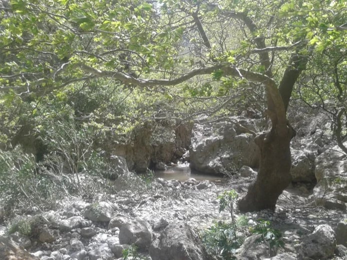 Deliana gorge