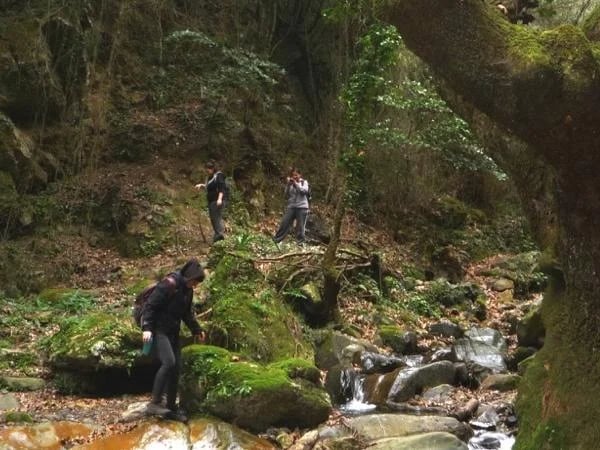 Palia Roumata Gorge Light Hiking Half day Excursion and optional Local Brewery visit
