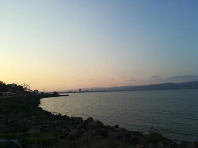 Marina J.'s gallery