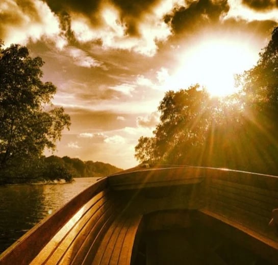 A glorious view down the Brunei river from our boat as the sun starts to sink
