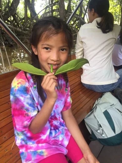 A guest trying out the leaves eaten by the Proboscis monkey