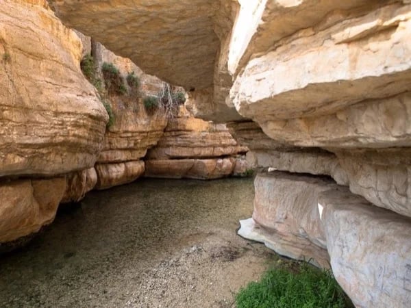 Wadi Qelt trekking tour
