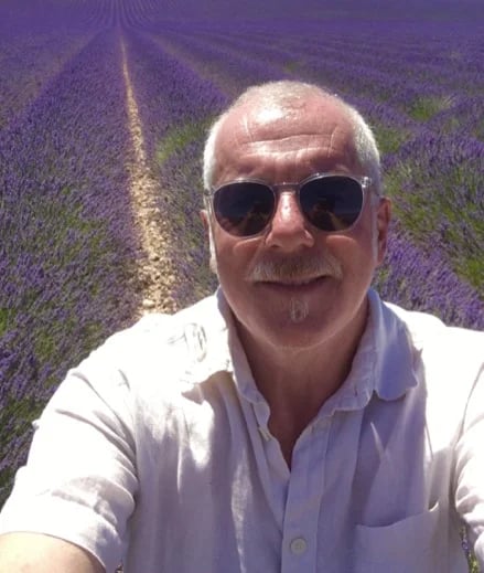 Lavender in Provence near Sault