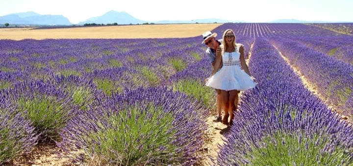 Valensole Provence