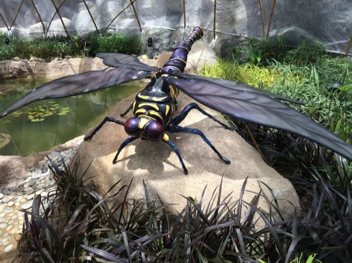Entopia - Giant Dragonfly