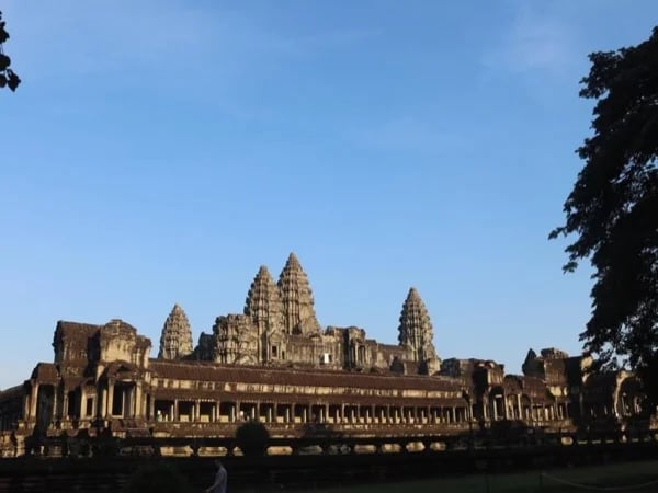 Cover media image