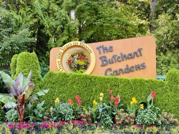 Cover media image
