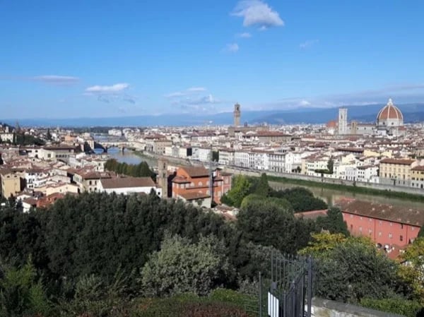 Florence full day in a private tour
