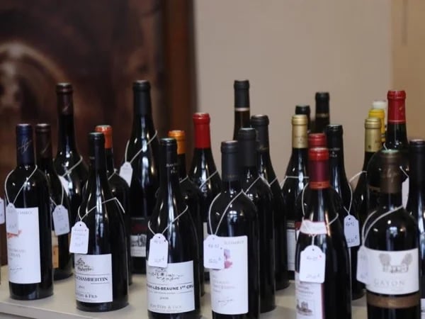 Gastronomical Paradise and wine tasting half day tour