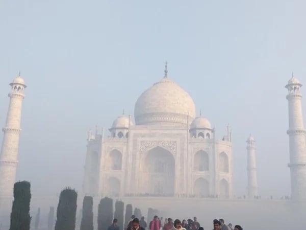 Cover media image