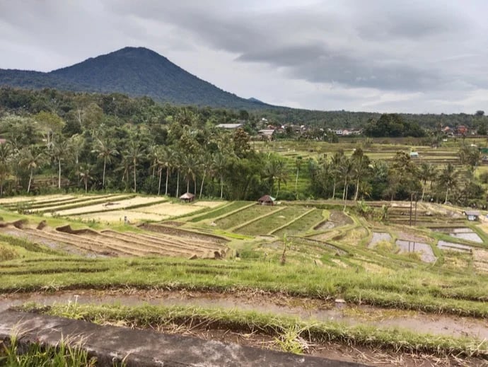 Ketut A.'s gallery